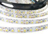 LED pásky 20W/m 12V LED diodový pásek 20W/m